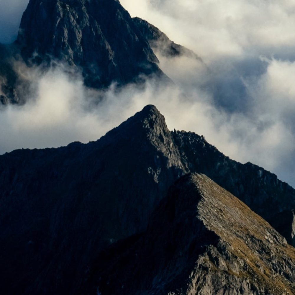 corde_united_christchurch_image_4